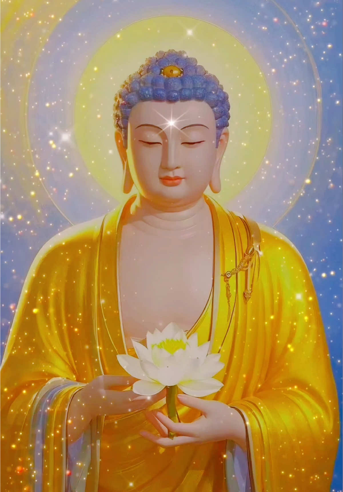 NAM MÔ A DI ĐÀ PHẬT #nammoadidaphat #niemphat #tinhdo #daophat #phatphap #buddha #buddhist #佛 #viral #tiktok #foryou #fyp #luctudida 