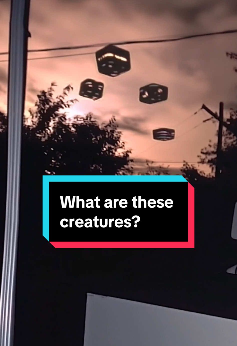 What are these creatures?  #uap #plasmoid #ufo #ufosighting #drone #orbs #caughtoncamera #caughtonvideo #alien #sighting #cryptid #thrones #ophanim #seraphim #creatures  