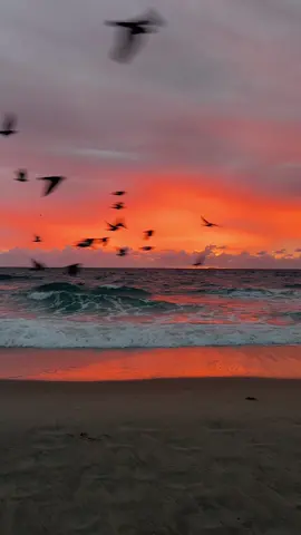 10/10 sunrise, if your bladder wakes you up, maybe it’s for a good reason (except my bladder does this on a daily basis). #florida #sunrise #beautiful 