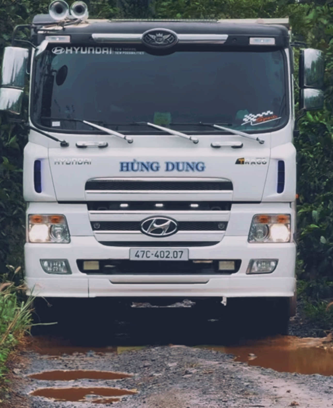 1 mình em nơi cánh rừng hoang vắng 😂. Hyundai hd270 chào anh em nhé. Khép lại 2024, lại xe nháp 😂 #xuhuong #xetai #vidinh #hyundai 