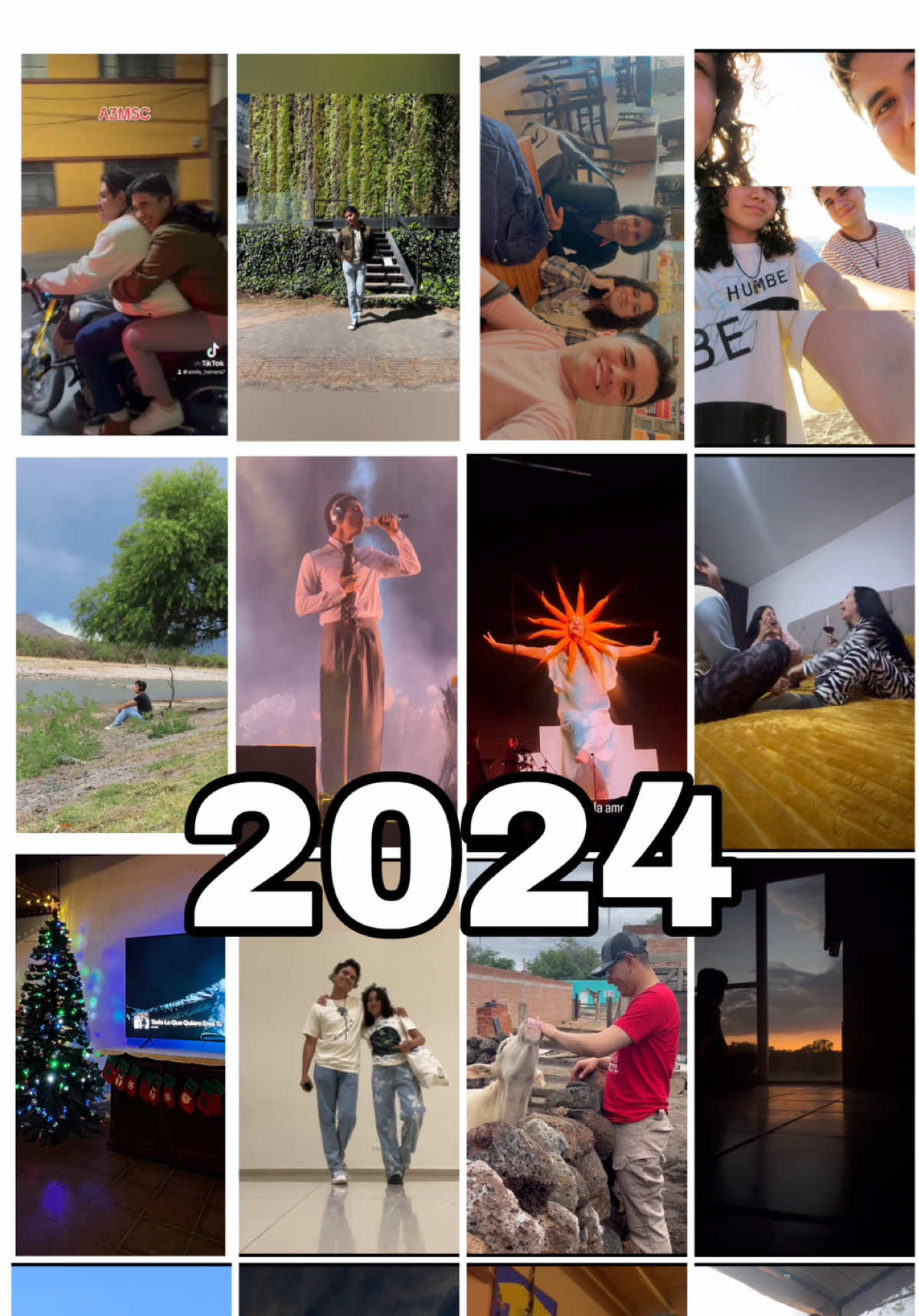 Lo bueno, lo malo, y lo increíble pasó en este año 😊✨❤️.             @HUMBE #recap2024 #memories #newyear 