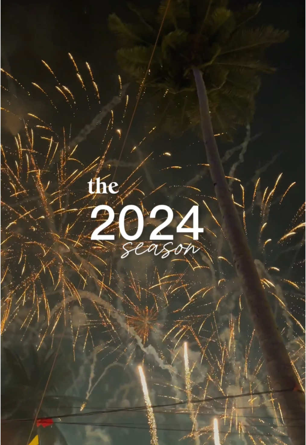 Thank you 2024! #capcut #2024recap #welcome2025 #happynewyear 