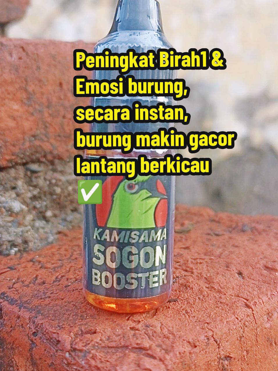 sogon booster, suplemen peningkat b1rah1& emosi burung.. solusi burung lesu, susah gacor #kamisamasogonbooster #sogonbooster #kamisama #kamisamabooster #suplemenburung #vitaminburung #dopingsogon #dopingpleci #sogon #sogonmania #pleci #plecimania #kolibrininja #sogoncepatgacor #wibgajian #promoguncang11 #yearandsale #gilagilajualan #cuantanpabatas #kicaumania #kicaumaniaindonesia 