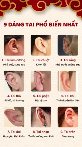 9 dáng tai phổ biến nhất #phongthuy #phongthuyvietnam #phongthuy2024 #phongthuytamlinh #tamlinh #tuongso #doisong 