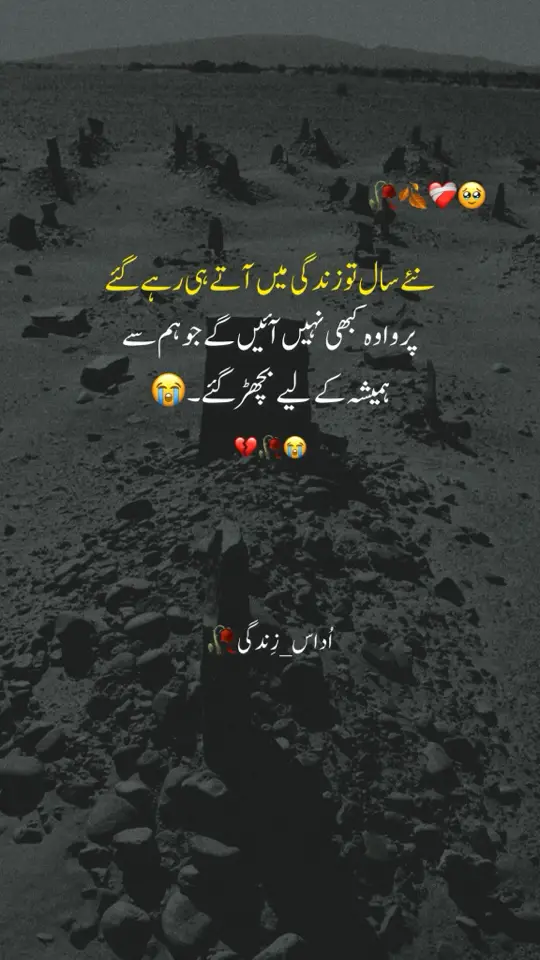 *آج سال کا آخری دن ہے اگر ہوئی ہو کوئی غلطی تو معاف کر دینا۔۔ ہمیشہ خوش رہیں اپنے پیاروں کے ساتھ اللّٰہ آپکو بہت سے خوشیوں بھرے سال دکھائے۔۔۔آمین*🥹🩷 #foryoupage #brokenheart #sadstory #pleasetiktokteamviralvideo💯 