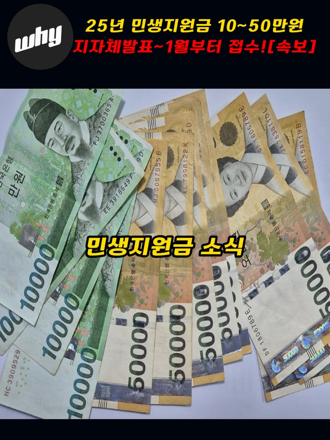 25년 민생지원금 10~50만원 지자체발표!~1월부터접수[속보]