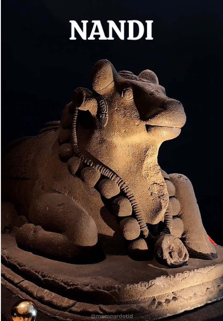 Arca Nandi dari Singhasari Nandi adalah lembu suci yang menjadi kendaraan dan penjaga setia Dewa Siwa dalam mitologi Hindu. Arca Nandi melambangkan kesetiaan, kekuatan, dan kesucian, sering digambarkan dalam posisi duduk tenang di depan kuil Siwa, mengawasi pintu masuk. Sebagai simbol kemurnian dan pengabdian, Nandi juga diyakini mewakili hubungan harmonis antara alam dan spiritualitas. #sejarah #hindu #jawa #singosari #arca #nandi #budayaindonesia #fypシ゚ #fy 