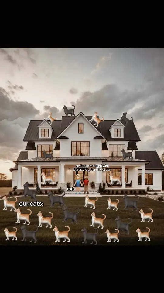 this but like there’s more cats #husband #house #cats #future #Home #fypシ #bf #trending #zyxcba #viralvideo #foryoupage 