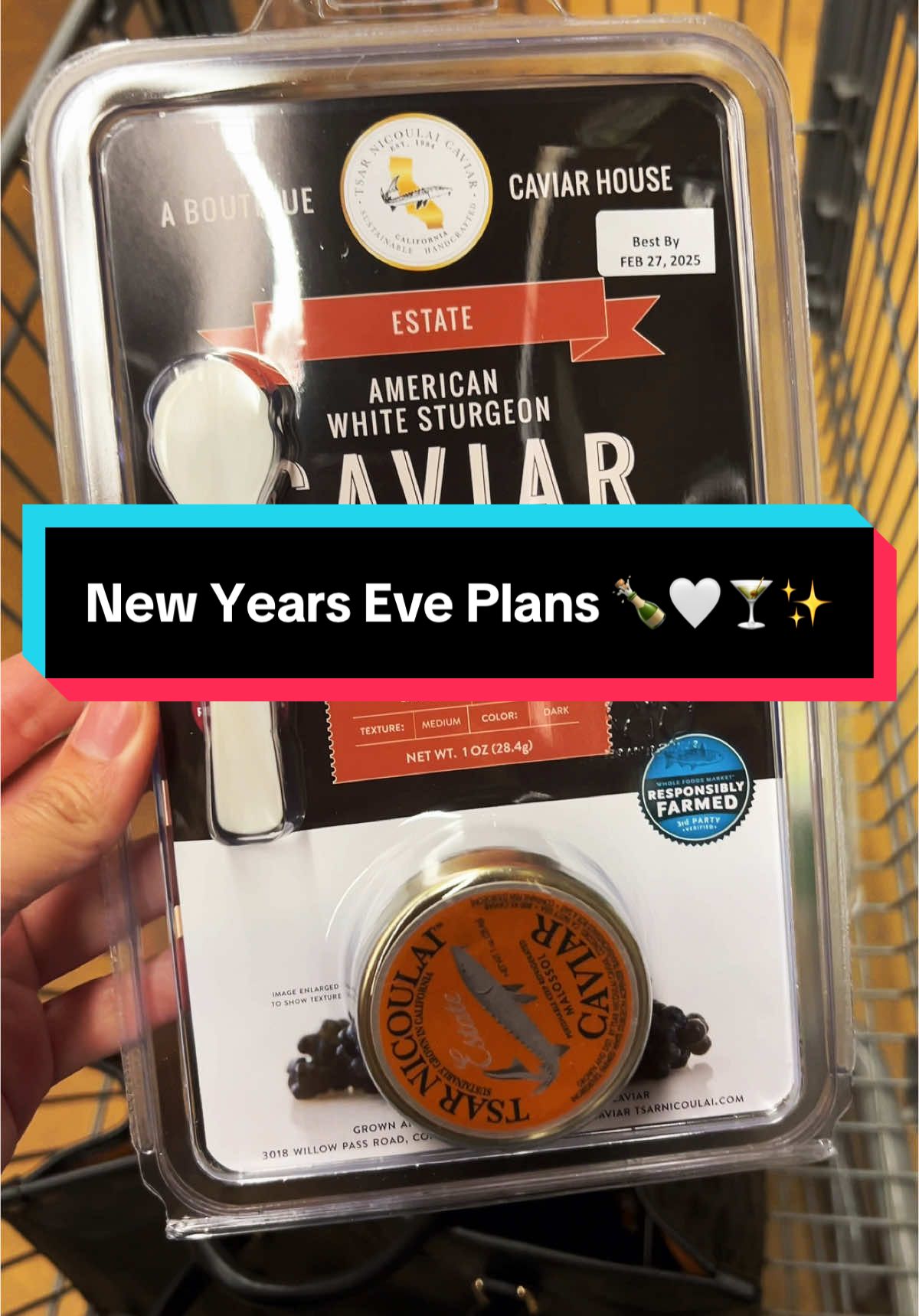 Caviar tasting anyone? 🍾 #newyearseve #caviar #caviartiktok #tsarnicholas #wholefoodshaul 