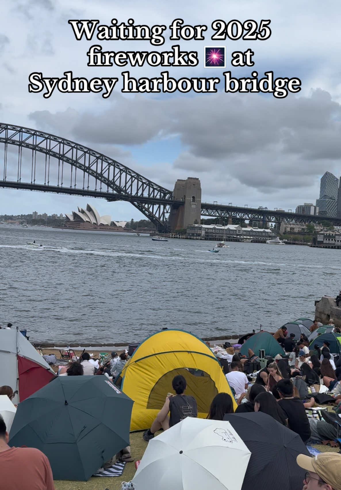 Sydney Fireworks 2025. #sydney  #sydheyfireworks #harbourbridgesydney #newyear #2025 #australia #viral #goviral 