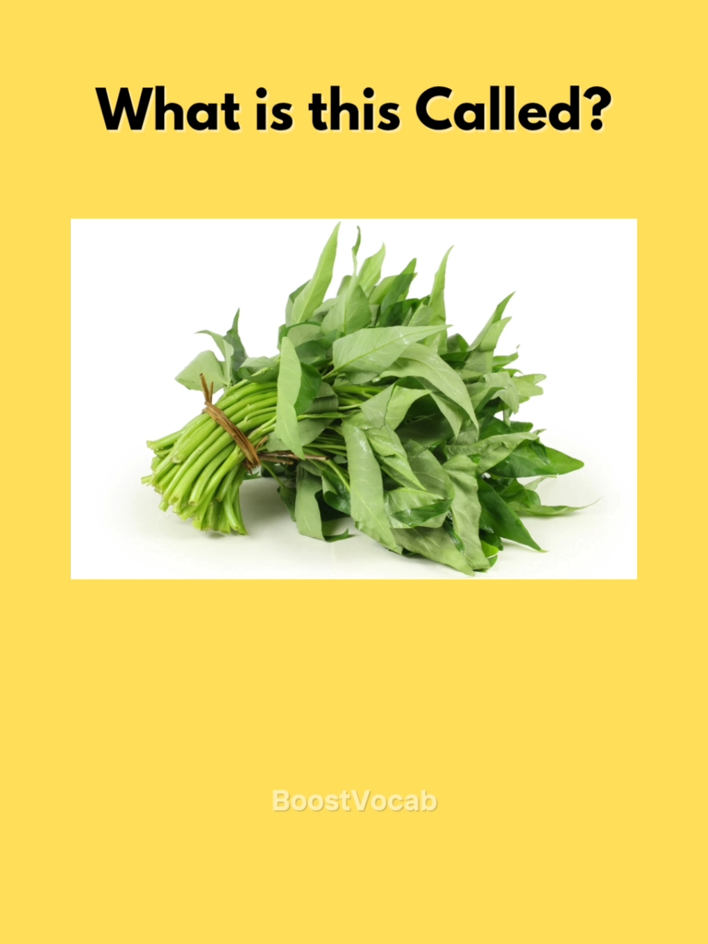 Can you name these Vegetables? #dailyenglish #learnenglish #visualvocabulary #english 