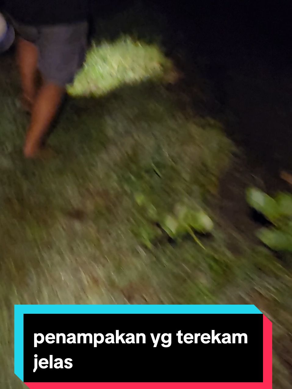 penampakan yg terekam jelas #hantu #alamgaib #indigo #kuntilanak #misteri #penampakan #pocong 