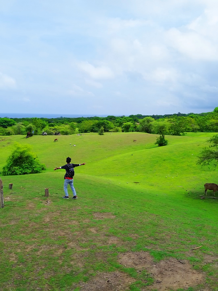 Sudah masuk list kalian nggak wisata ini .?📌Savana Lendang Dangar Bayan KLU #fyp#lendangdangarlombok #feroscldrone #dronevidio #rekomendasiwisatadilombok #lombokvirall🌴🌴 #fyplomboktiktok