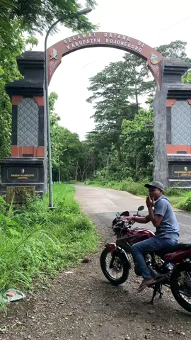 gabutmu