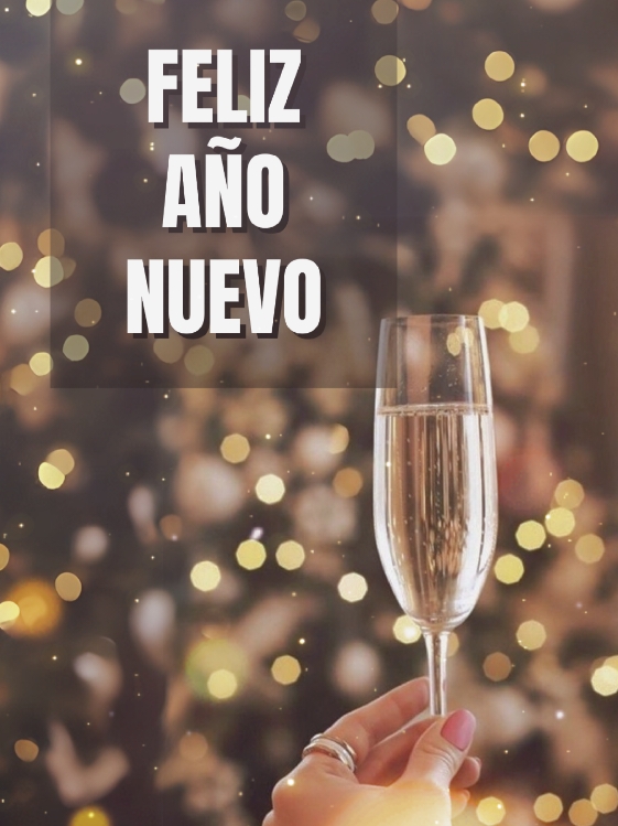 Feliz Año Nuevo  #felizañonuevo #felizaño #newyear #brindis #añonuevo #🥂 #parati #happynewyear 