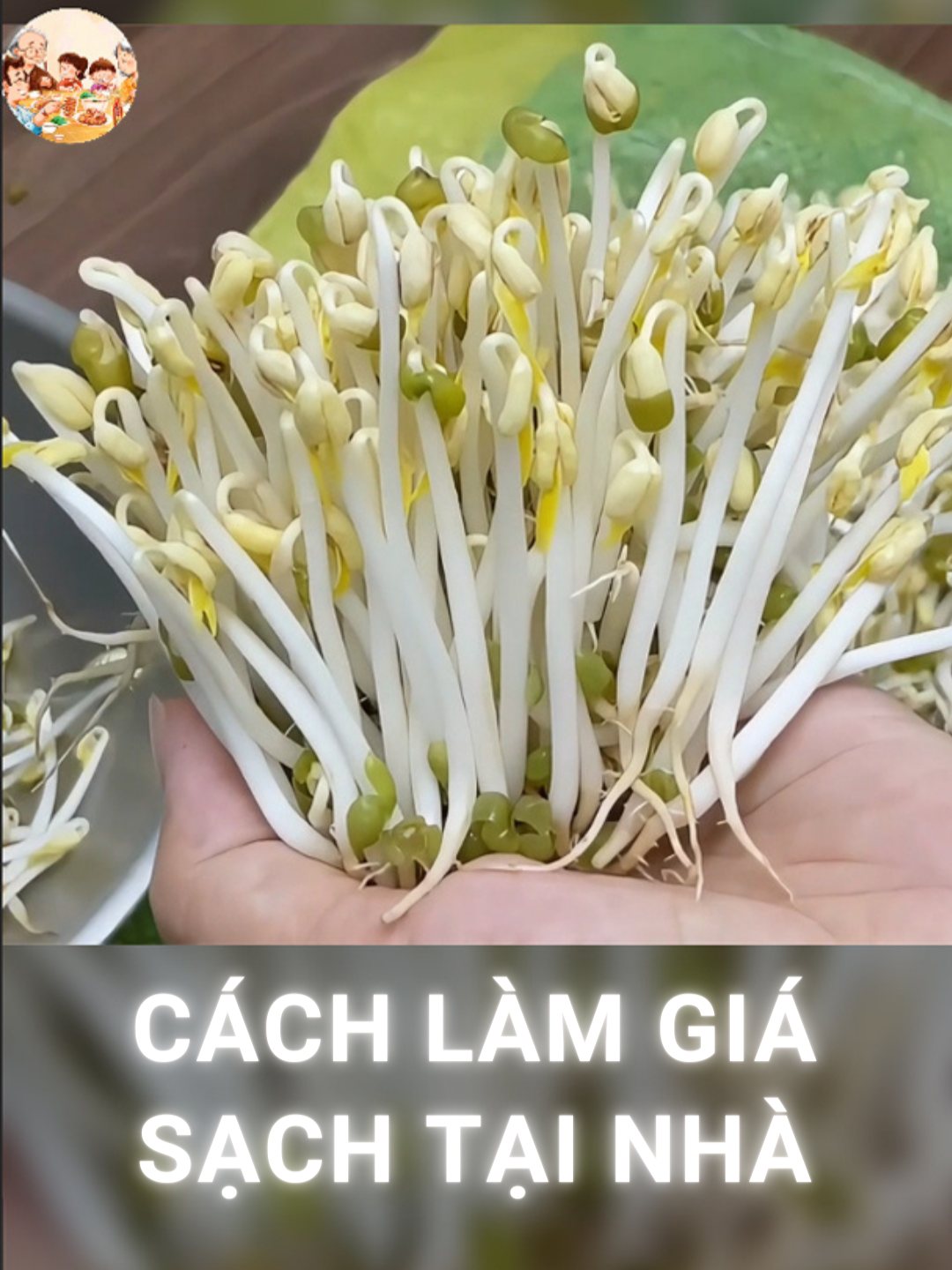 👨‍🍳CÁCH LÀM GIÁ SẠCH TẠI NHÀ 🌱🌱Giá đỗ là món ăn dinh dưỡng, dễ làm. Chỉ cần đậu xanh, rổ, khăn ẩm và 3 ngày chăm sóc, bạn sẽ có giá đỗ sạch, trắng mập, giòn ngon. Ngâm đậu 6-8 giờ, trải trong rổ lót khăn ẩm, tưới nước 2-3 lần/ngày, tránh ánh sáng. Sau 2-3 ngày, thu hoạch khi giá đạt 5-7 cm. Thích hợp cho các món xào, nộm, canh nhé mọi người. Cre: Nắng Vào Bếp #angimoingay #giado #AmthucViet #monngonmoingay