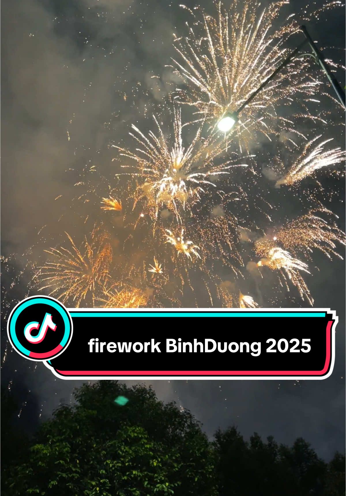 Bắn Pháo hoa bình dương 2025, pháo hoa thành phố mới 2025, countdown 2025, firework 2025, happy new year #firework #countdown #happynewyear2025 