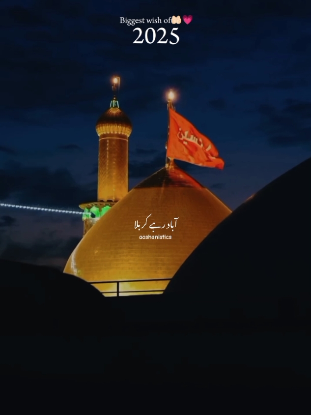 May we all visit Karbala this year🤲🏻🕊️🥺 #shia #iran #karbala #imamhussain #aashanhaider #whatsappstatus #shiastatus #foryou #viral #fyp #newyear #2025