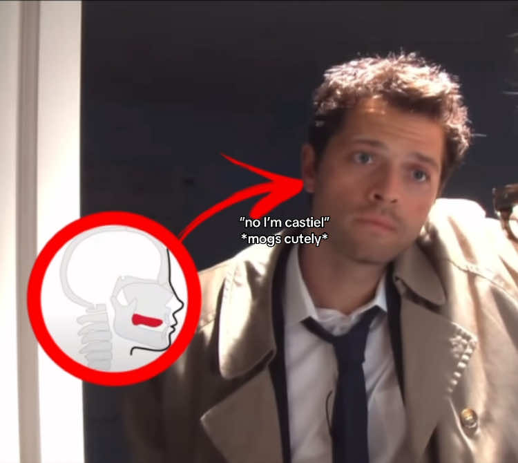 what even is this bro (sorry for being dead 😔) #supernatural #spn #supernaturalcast #mishacollins #castiel #brainrot #winchesters #ghostfacersspn #silly #idk #trend #fyp #viral #mewing 