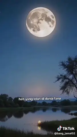 selamat datang bulan rajab anak abah mau bahagia ? #fyp #rajab #anakabah 