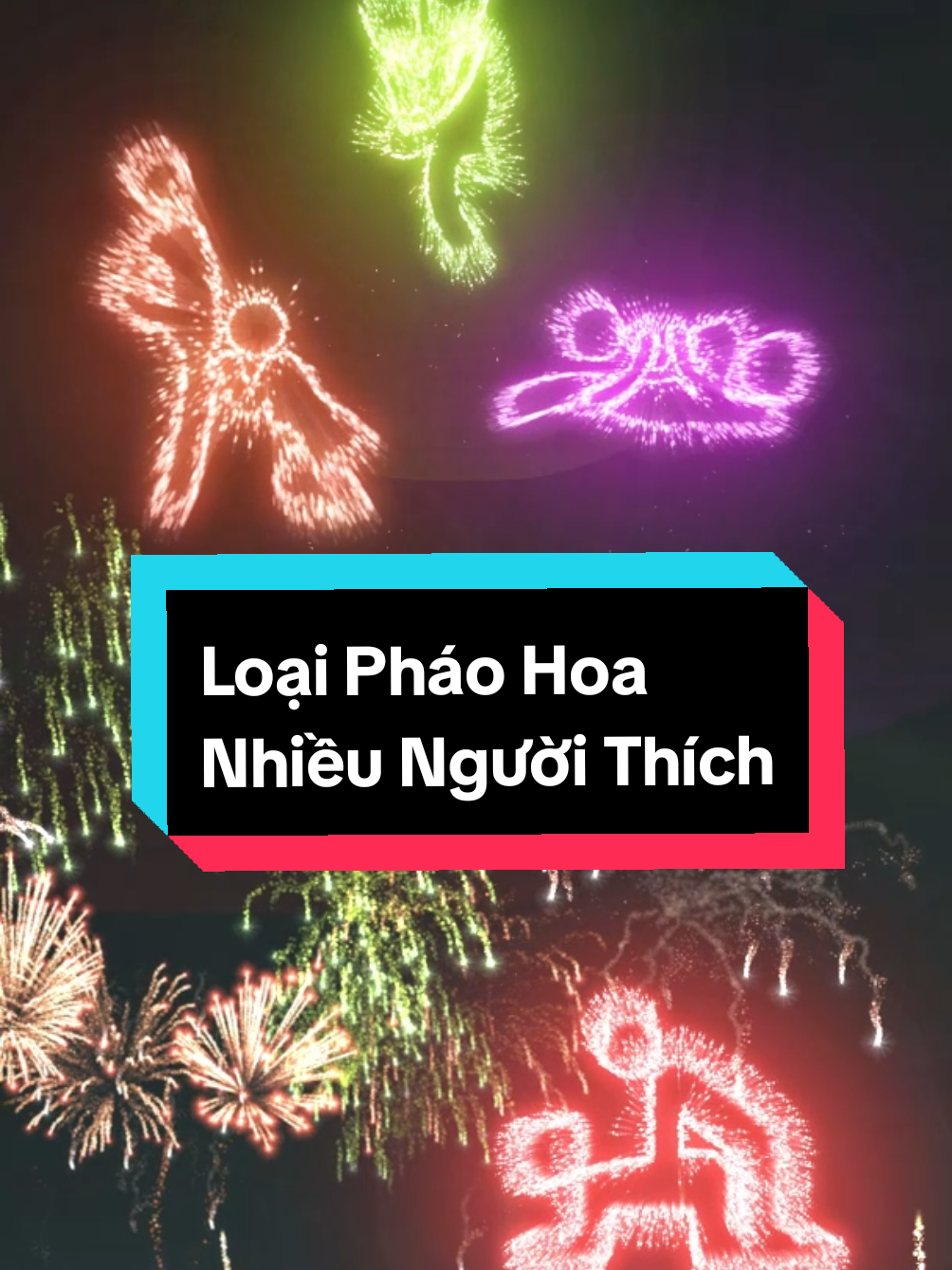 Loại Pháo Hoa mà Bạn Thích ? #happynewyear #2025 #fireworks #funny 