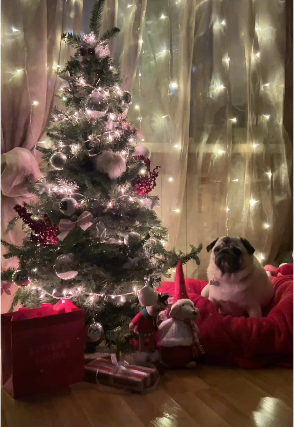 Happy NY and Pugmas🥳 #френкібулка  #мопс 