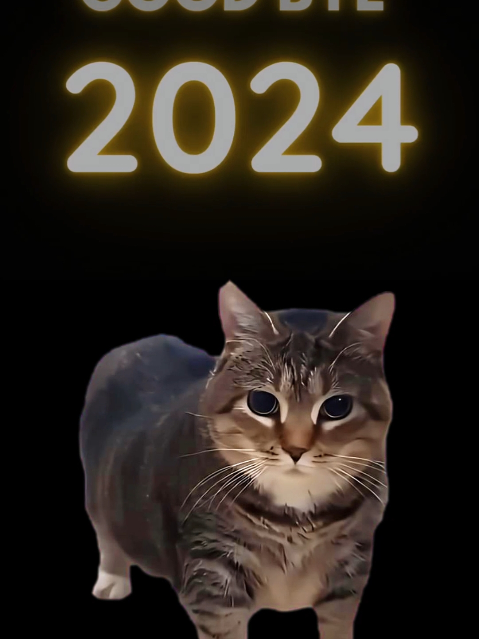 OiaCat Goodbye #2024 #music #foryou #cats #meme  #2025 #newyear #tiktok #fyp #cat #oiaoiacat #oiacat #happy #trending #new #catsoftiktok 