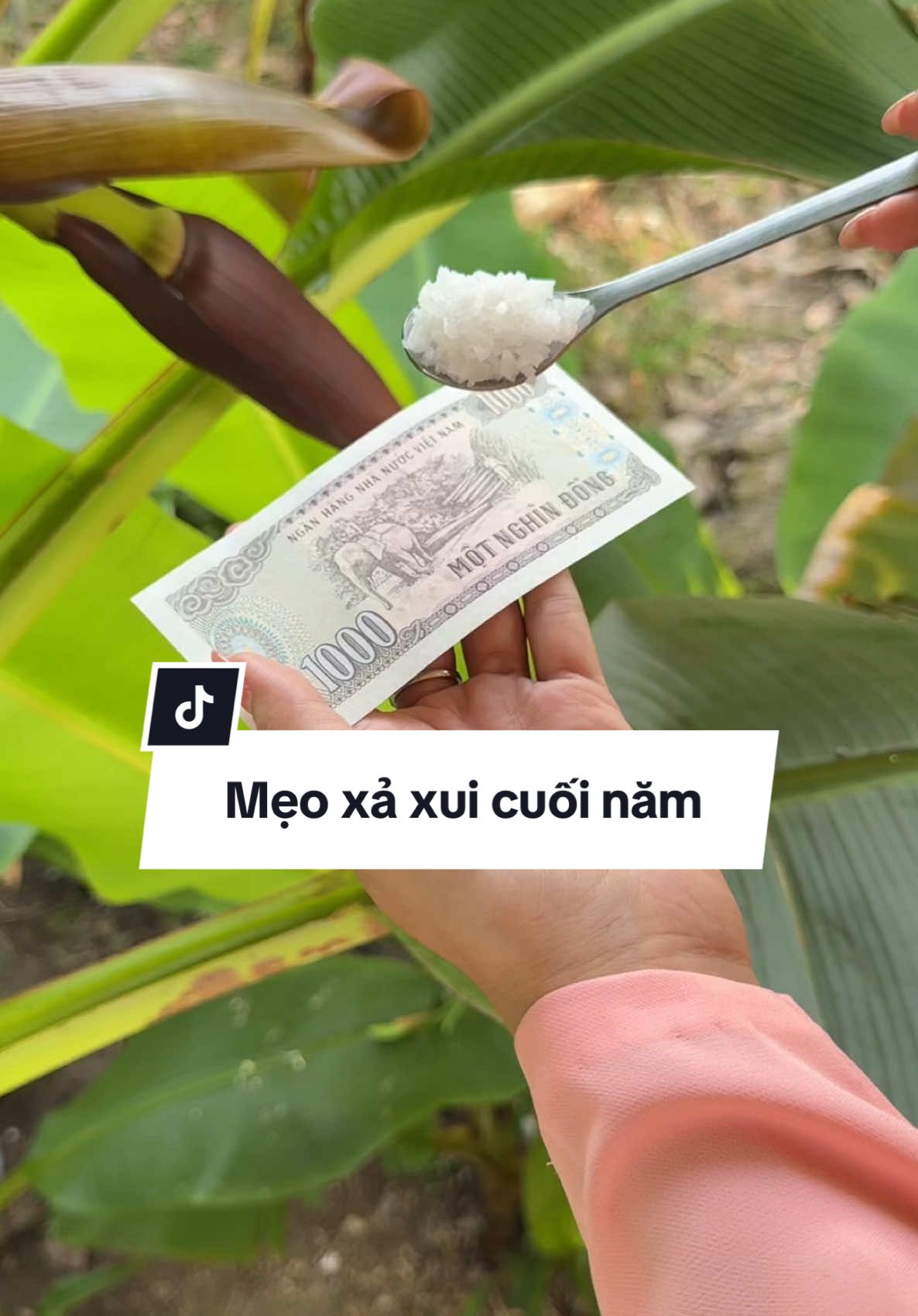 Mẹo xả xui cuối năm từ muối #orymandep #xuhuong #baut #songkhoe247 #ydgr 