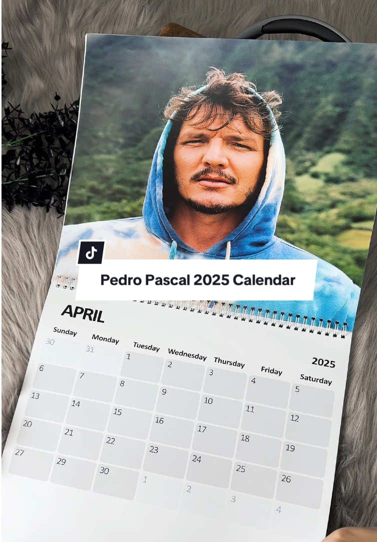 Mister lover lover ✨ perfect PASCALender for new year #pedropascal #pedropascaledit #pedropascaltiktok #gladiator #gladiator2 #wallcalendar #calendar #2025calendar #celebritycrush 