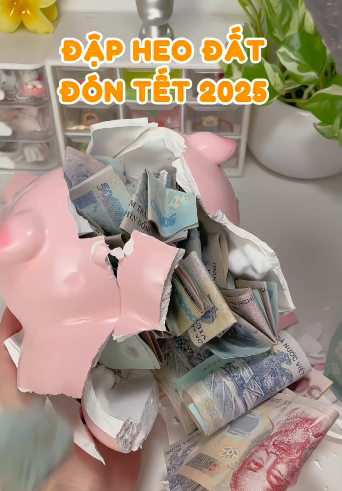 Phấn đấu năm sau nuôi 2 con 😅 #dapheodat #dapheodontet #tết2025 #viral #trending #gocnhounbox 