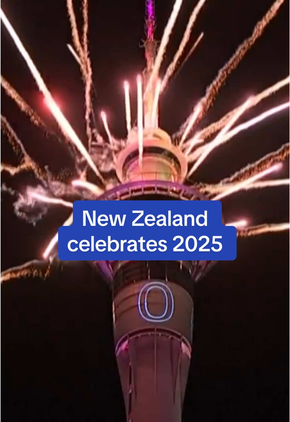 New Zealand became one of the first countries to welcome 2025 with a fireworks display over Auckland.  Read the full story on Dailymail.com #newyears #newzealand #firework #news 