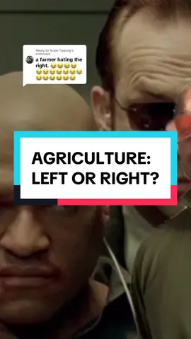 Replying to @Scale Tipping #greenscreen I got a pill for ya :-) #sylvanaquafarms #blackbirdcoop #labor #unions #class #agriculture #smallfarms #farmlife #firstgenerationfarmer 