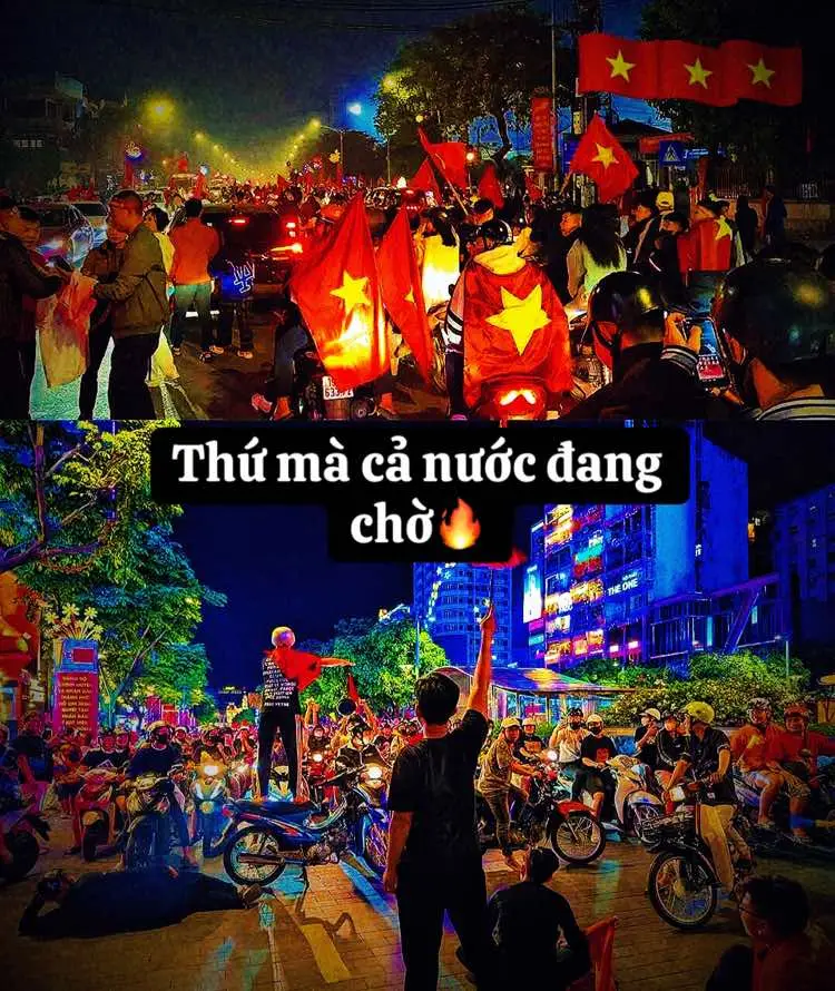 Việt Nam vô địch🏆🎉#vietnamvodich #bongda #xuhuong #fyp 