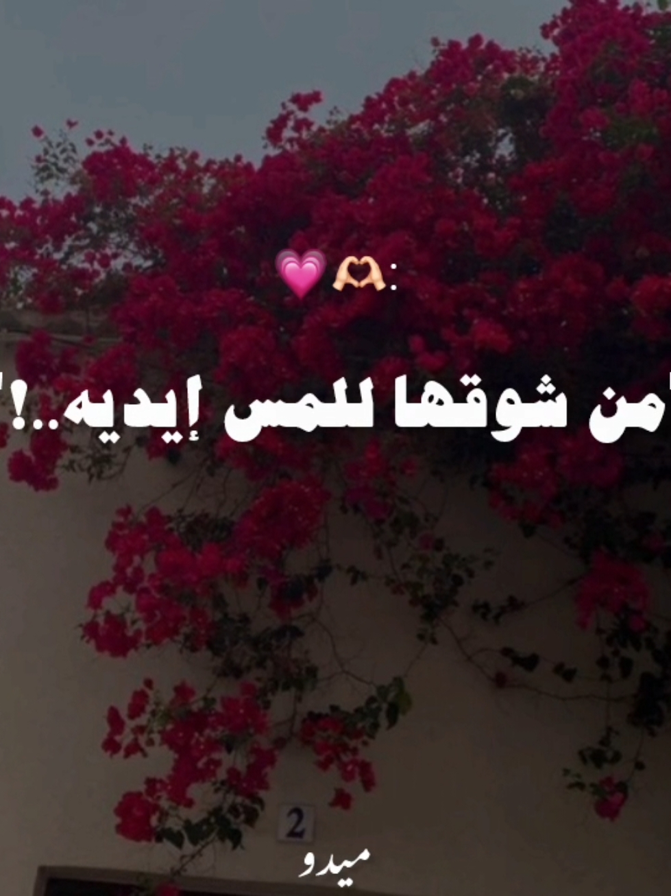 طول ما أنا في حضن عينيه 💗🫶🏻... . . . #ميادة_الحناوي #اغاني #رومانسي #حب #قديم #زمان #fyp #foruyou #foryoupage❤️❤️ #videoviral 