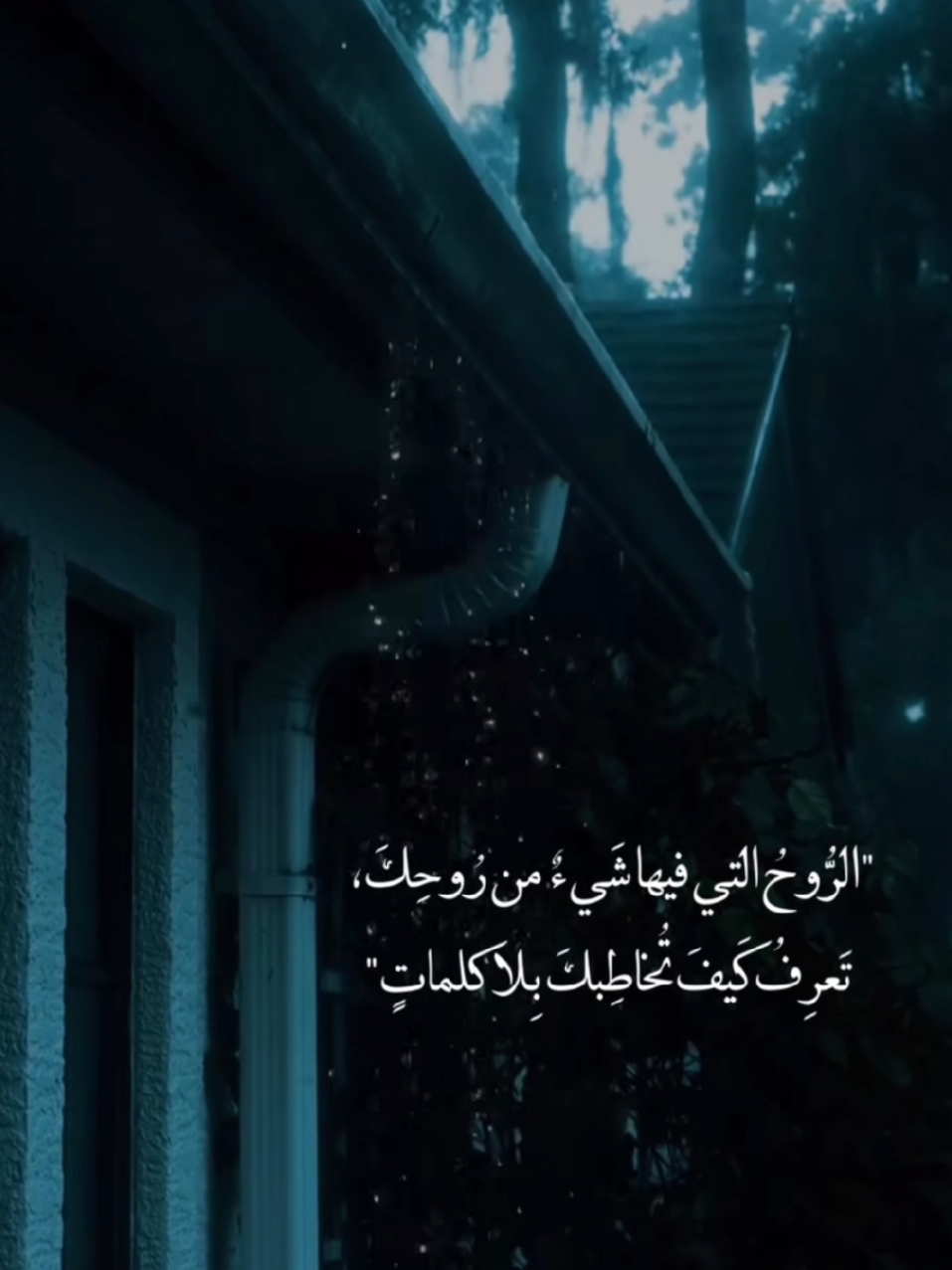 #عرب_تيك_توك  #اقوال_وحكم_الحياة  #اقتباسات_عبارات_خواطر🖤🦋❤️  #عبارات_جميلة_وقويه😉🖤  #لكم 