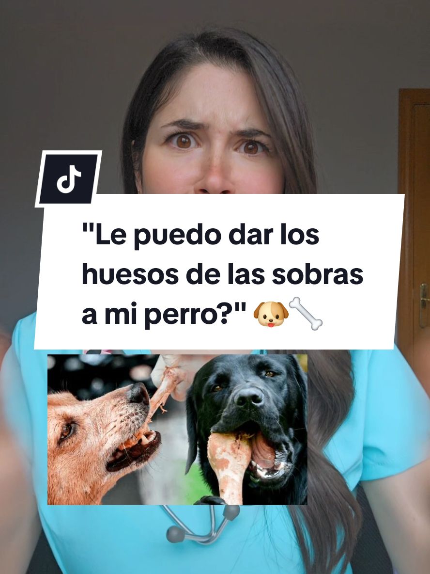 Por si en la comidas navideñas te da por darle huesos a tu perro, esta es mi opinión como veterinaria sobre el tema 🐶🦴⚠️ #huesosperro #losperrospuedencomerhuesos #darhuesosaunperro #consejosveterinarios #advertencia #peligro #urgenciasveterinarias #cuidadosperro #consejosperrunos 