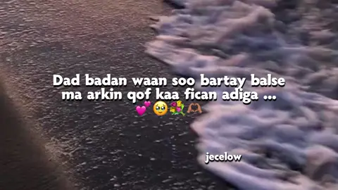 love Saar ❤️😭  #fypシ゚viral #foruyou #forupage #qoraalo #wllhaara #jecelow #fyp #somaalitiktok 