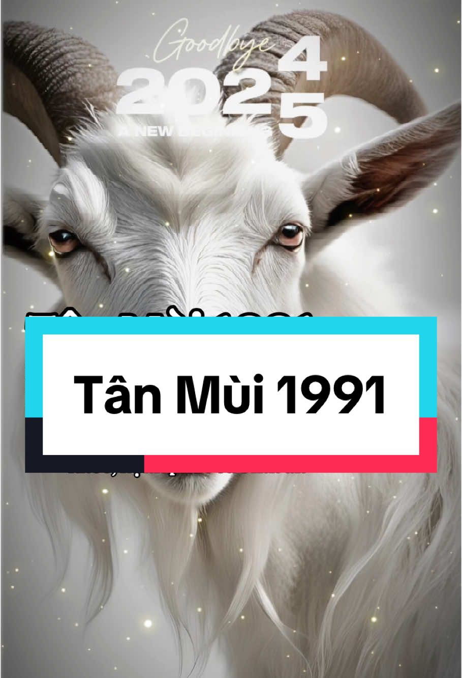 Tân Mùi 1991 Hãy tự vẽ ra con đường cho chính bản thân từ những bài học trong quá khứ, chúc cho Tân Mùi và gia đình một năm mới luôn may mắn, tài lộc, sức khoẻ, hạnh phúc và bình an #newyear2025 #1991n2t #tanmui1991 #tuoimui2025 