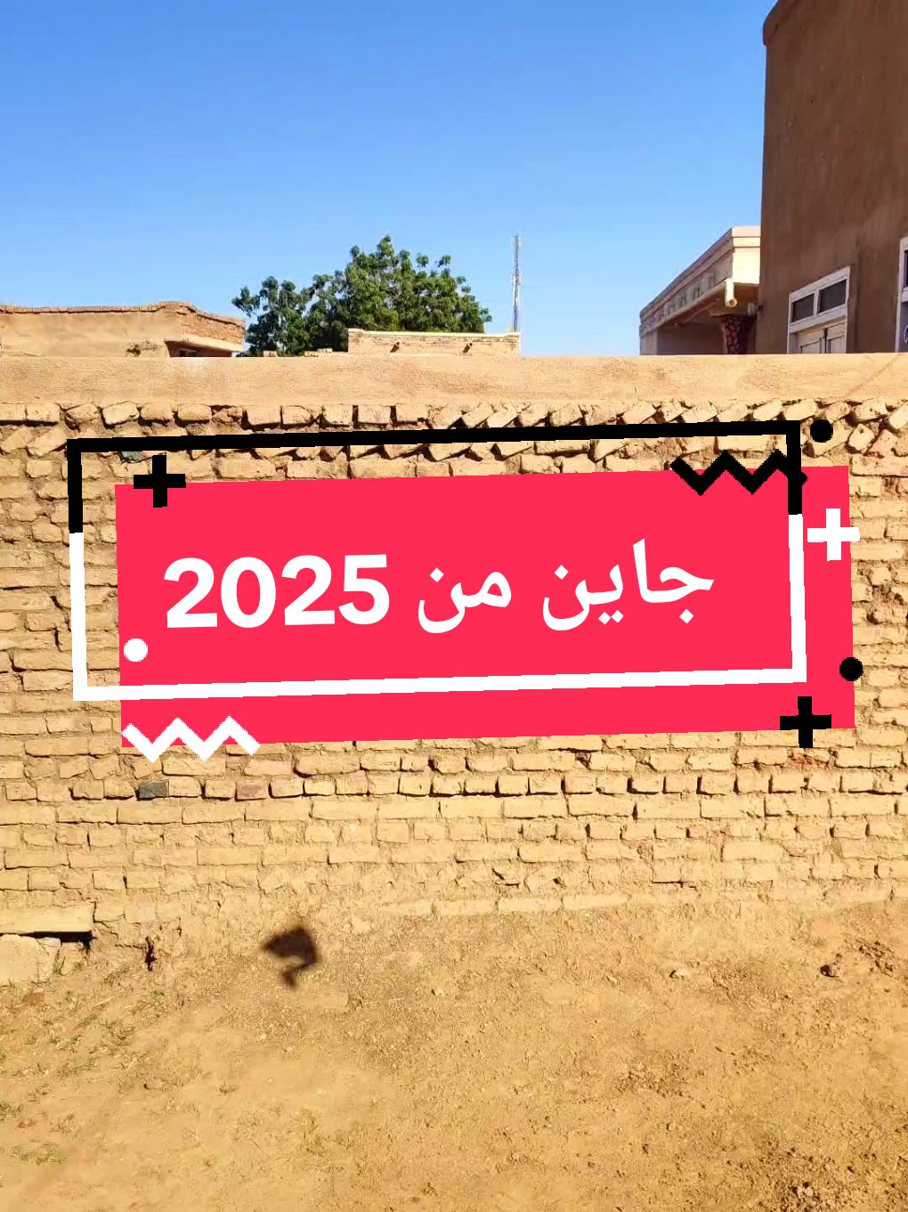 #جاين_من2025 #السنه_الجديده #الشعب_الصيني_ماله_حل😂😂 ا#كل_عام_وانتم_بخير #جخو،الشغل،دا،يا،عالم،➕_❤_📝✌️🌍🦋 #مشاهير_تيك_توك_مشاهير_العرب #السودان_مشاهير_تيك_توك 