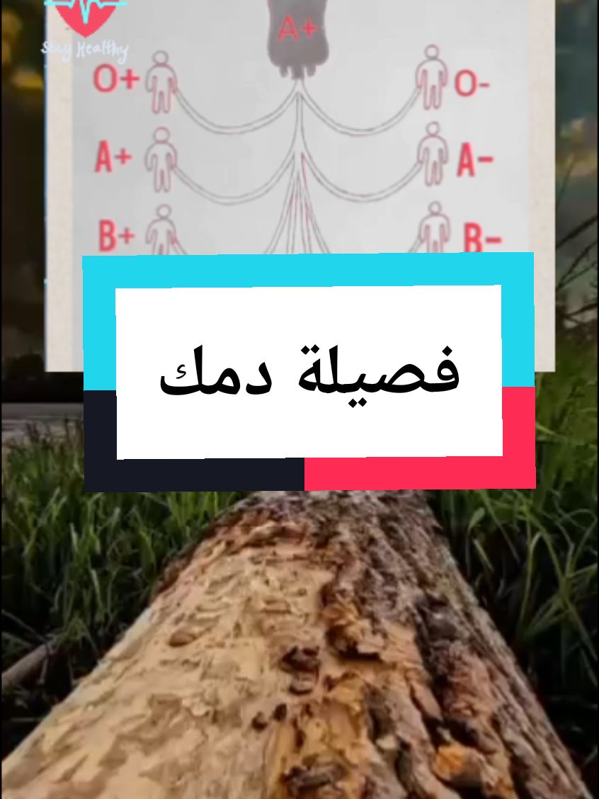 اعرف فصيلة دمك#طبيب_تيك_توك #معلومات_مفيده #منارة_العلم🥀 #تيم #فوائد #نصائح #علاج_طبيعي #طب #صحة_عامة #علاج_بالاعشاب_الطبيعية #for #foruyou #viralllllll #fyp #فصيلة_الدم #طب_صيني #علاج_فيزيائي_منزلي 