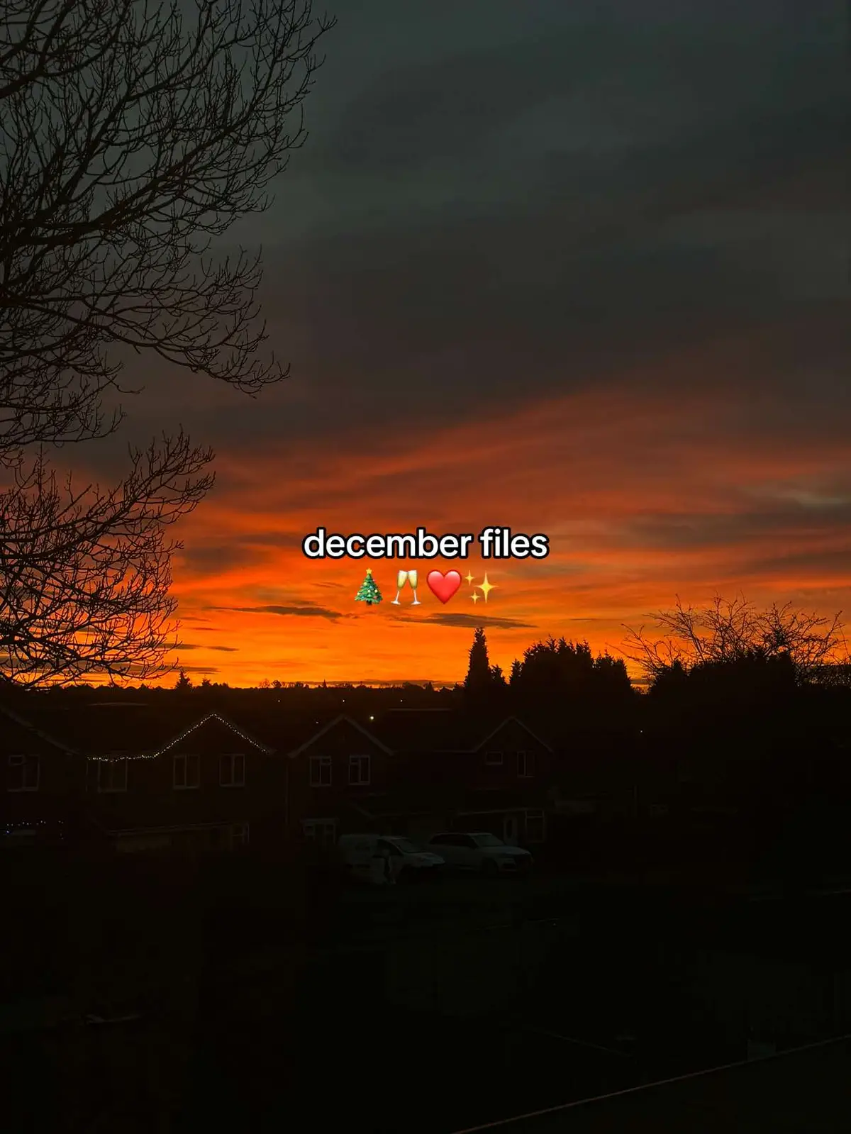 #diabetes #chronicillness #2024 #december #photodump #decembervibes 