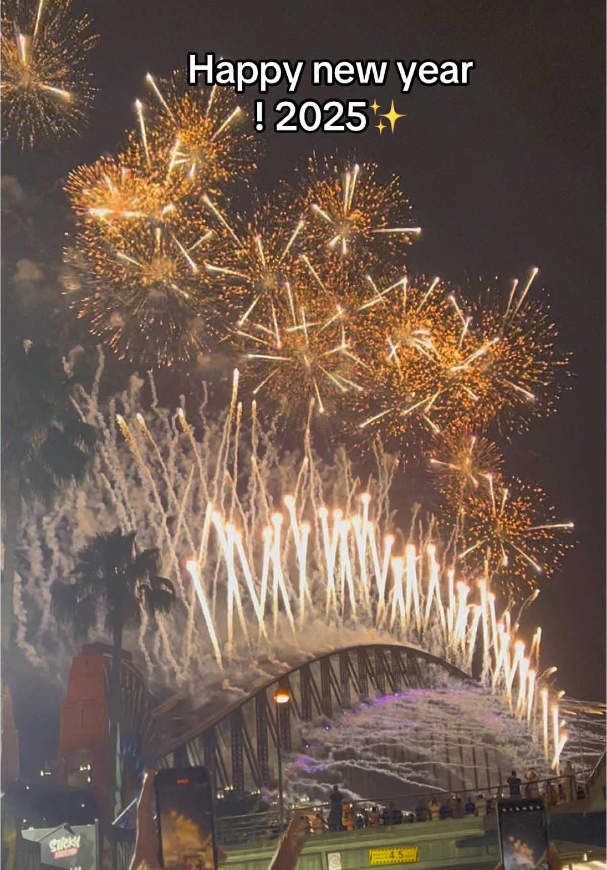 Have a great year ahead everyone !🤩#newyear #fireworks #sydney #bestintheworld #newyeareve #vibes 