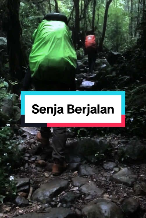 POV trekking sore sore. (Prank story) #alam #hutan #gunung #gunungindonesia #pendakigunung #pendakiindonesia #Hiking #mountain #nature #forest #sound #pov #viral #fyp #fypシ #foryou 