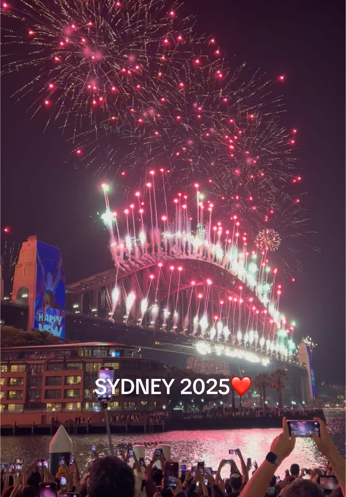 Sydney Fireworks Happy New Year 2025 #sydney #2025 #fireworks2025 #australia #Love 