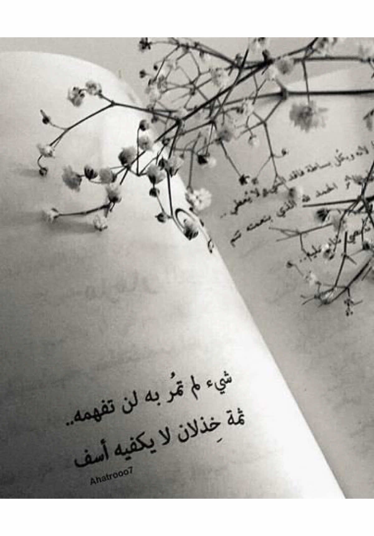 #نرجسية_عبارات #حكمة #خواطر #اقوال_الحكماء #عبارات 
