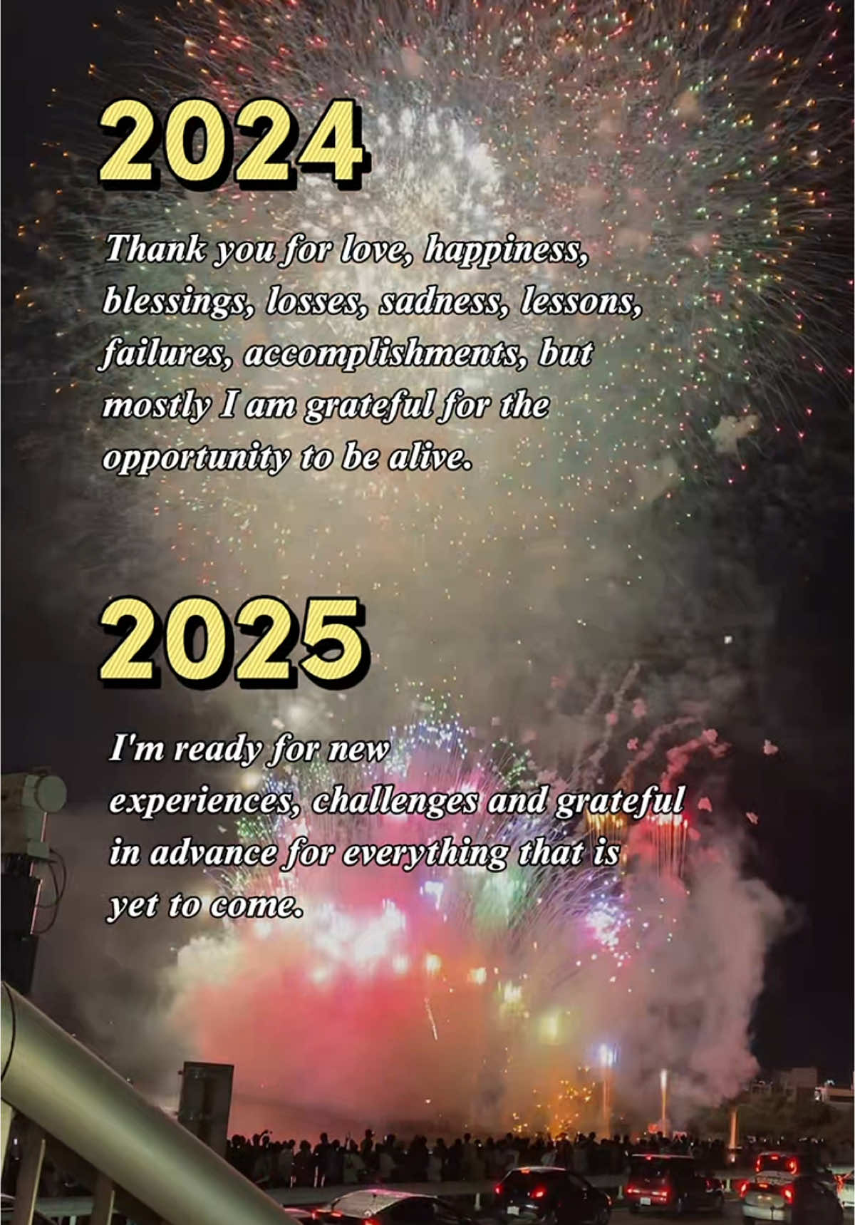 Page 366/366…It was a hard year, but we made it. We survived! #happynewyear #newyear2025 #2024comestoanend #wemadeit  #fireworks #fireworksdisplay 