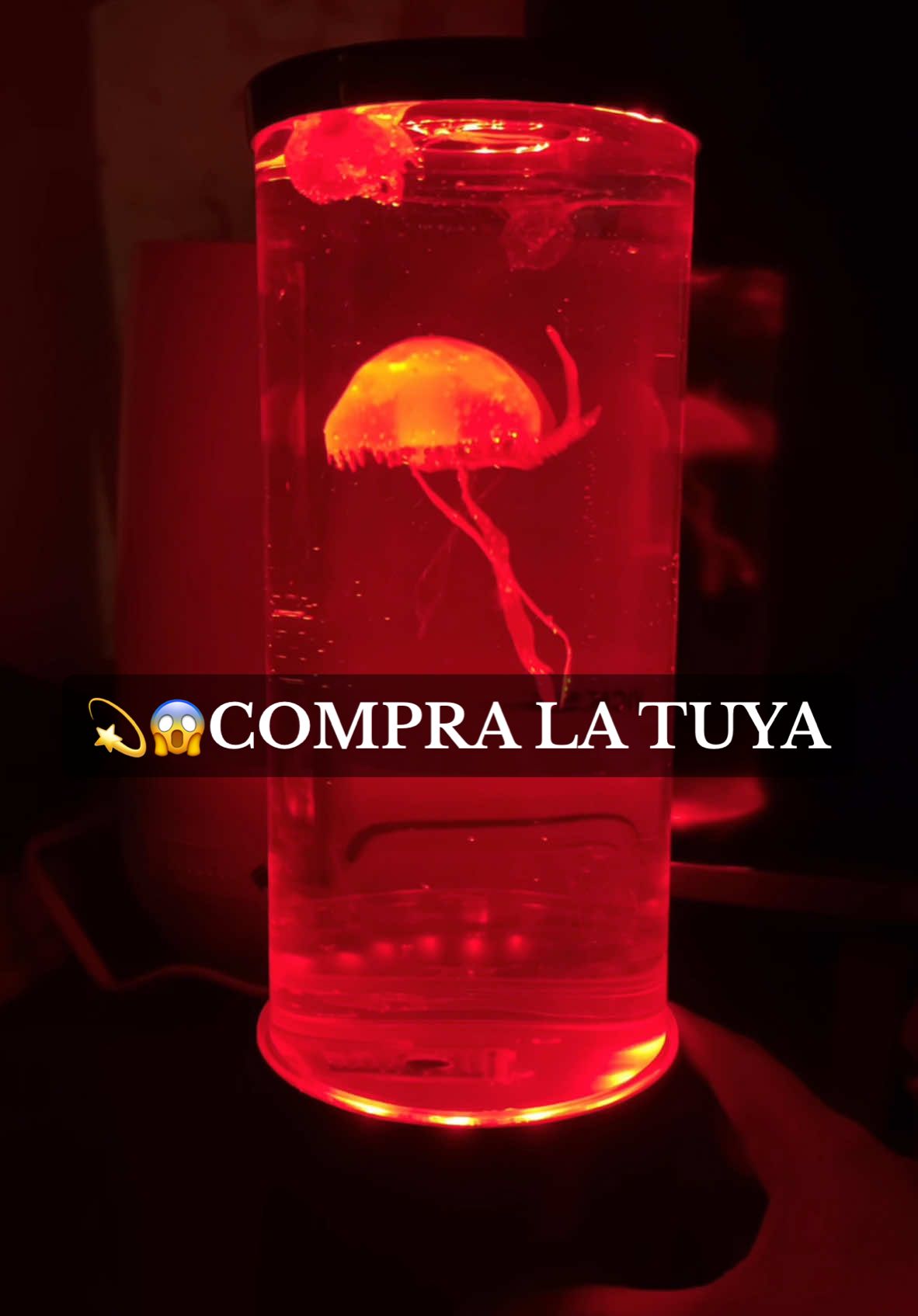 #jellyfish #lamp #aquarium #aquariumsoftiktok #relax #relaxingvideos #tiktokshopnewyearnewaura 