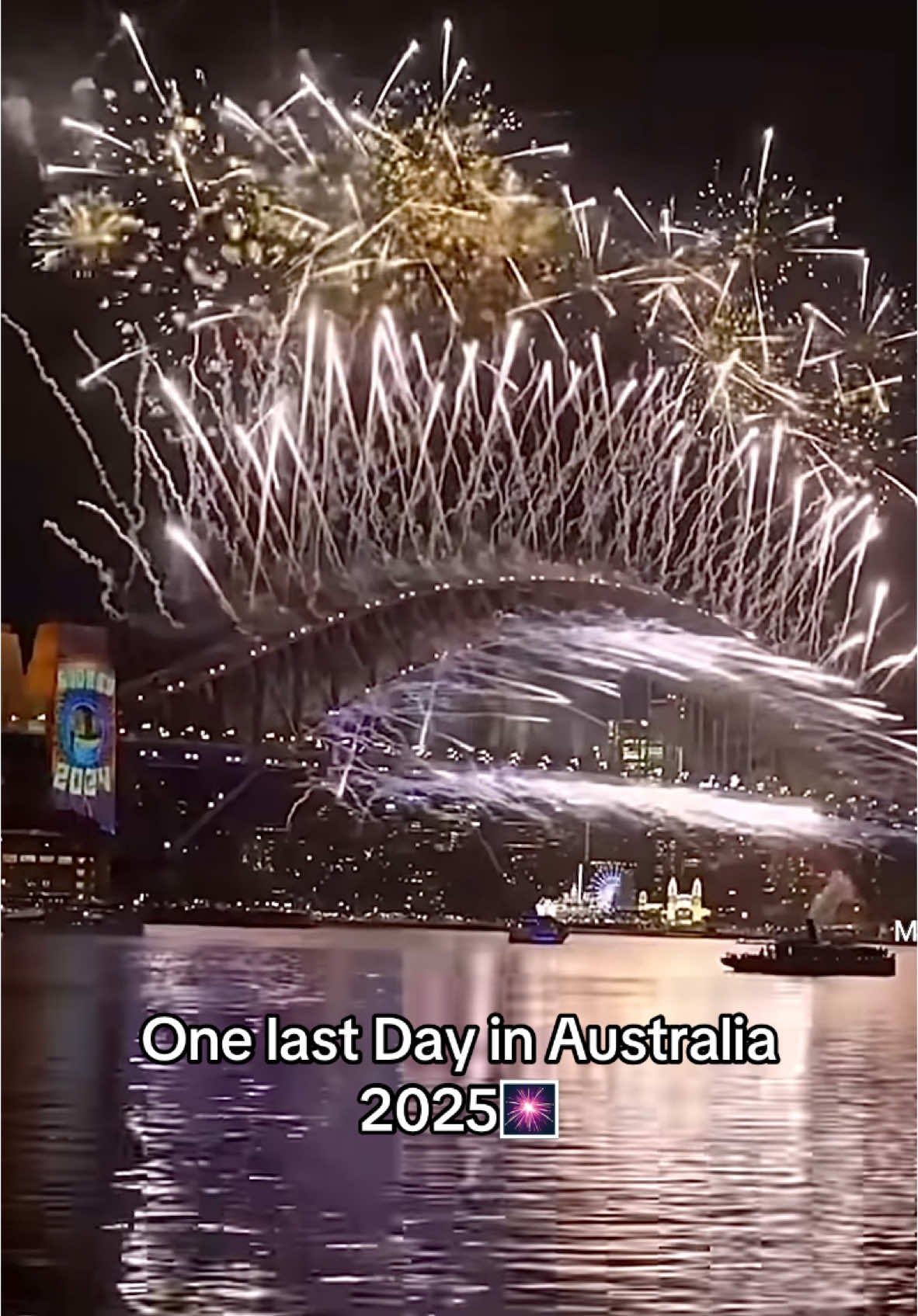 2025 #sidney #2025 #fireworks #australia #travel #fyp #foryoupage❤️❤️ #videoviral #goviral #tik_tok 