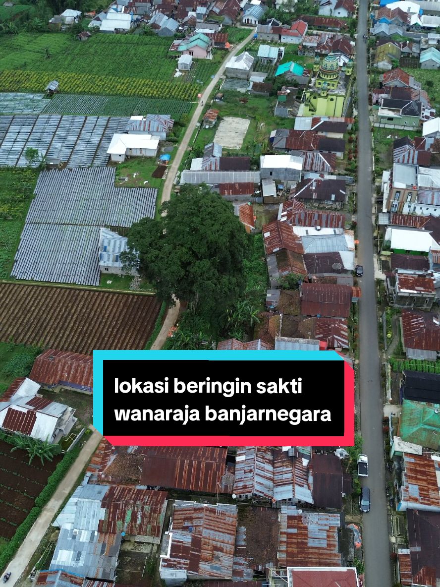 kenapa beringin sakti ada yang tau kisah beringin tersebut? #viralvideo  #banjarnegaragilargilar  #fyp 