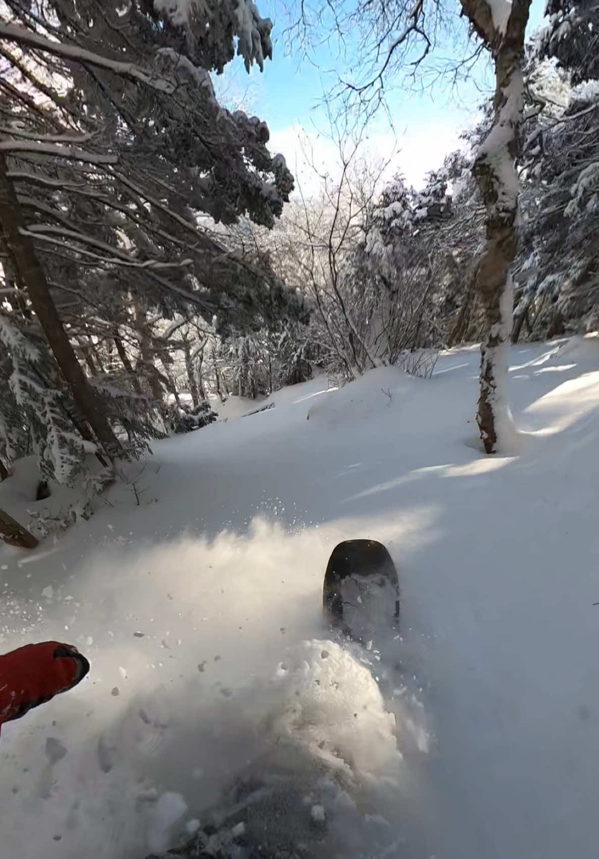 Just wanted to repost without music  @Sugarbush VT  #snowboarding #snowboardinglife #skiiing #skiinglife #skiseason #snowstorm #powder #vt #vermont #sugarbush #eastcoast #icecoast #skitheeast #cliff #cliffdrop #gopro